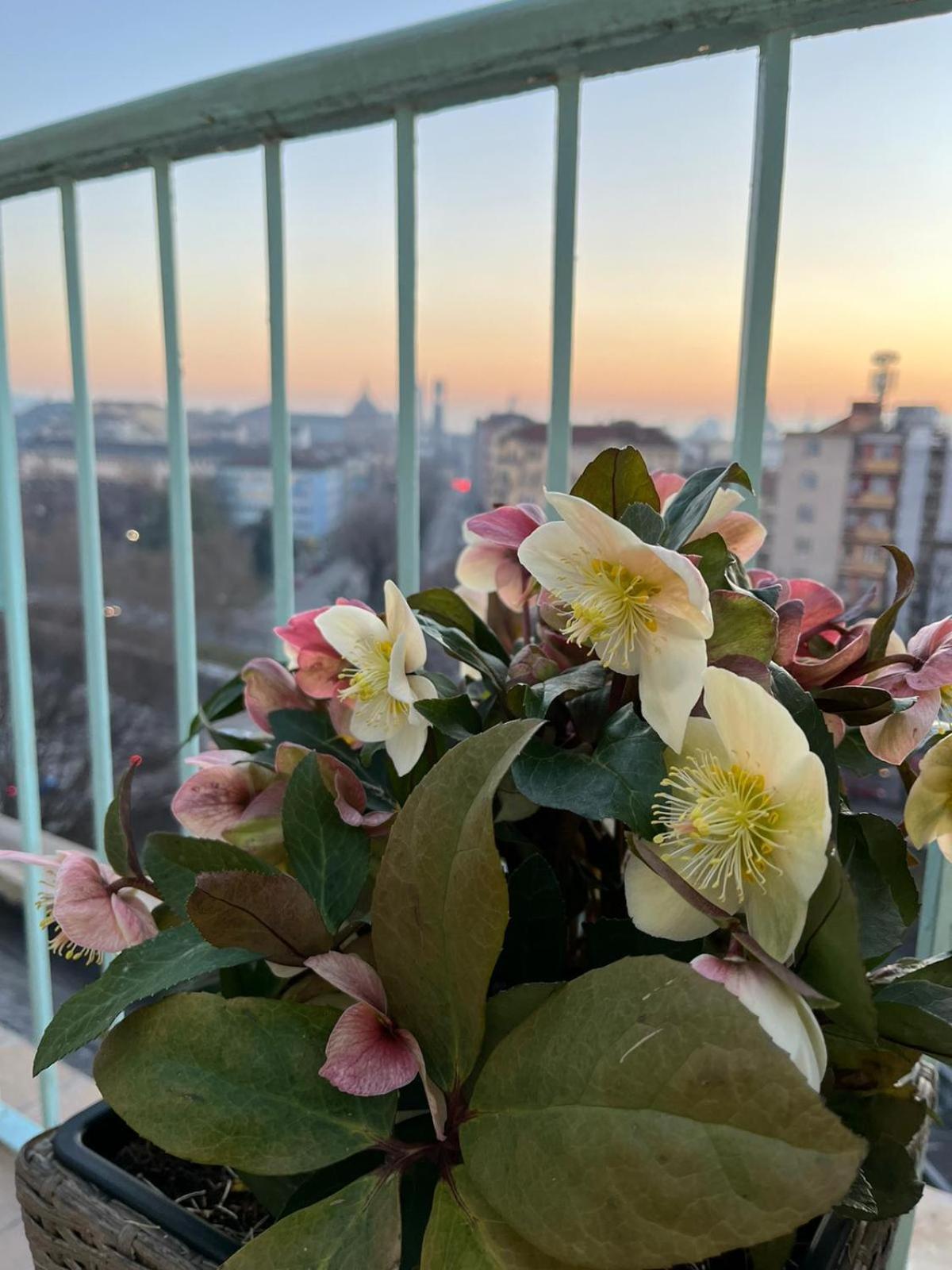 토리노 Attico Ellen Terrazza Con Vista 아파트 외부 사진